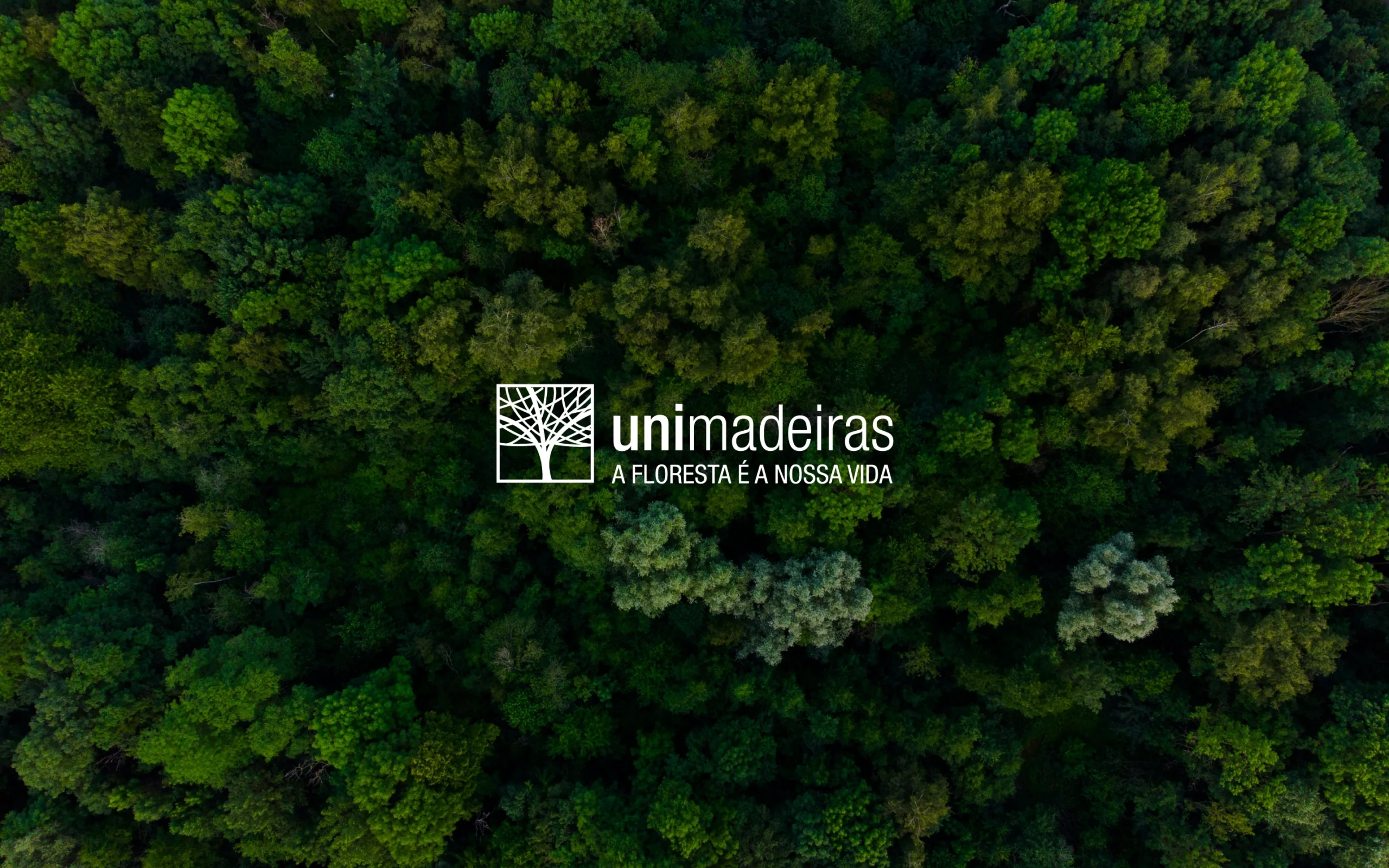 Unimadeiras